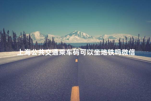 上海公共交通乘车码可以坐地铁吗微信 乘车码能不能刷两个人